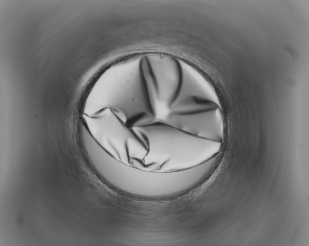 X0000113001502200909241250