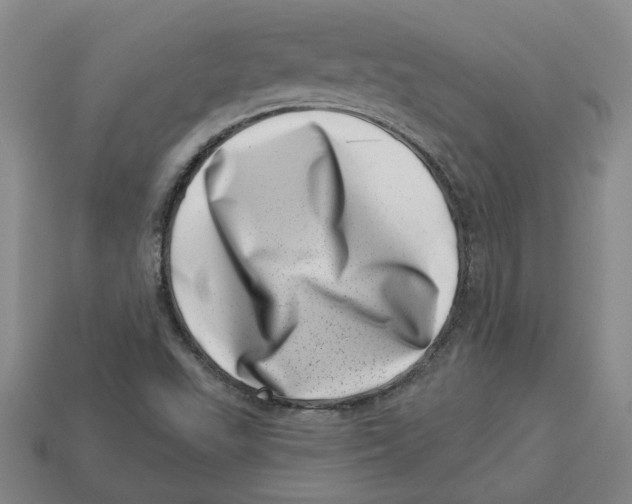 X0000113001503200909241250