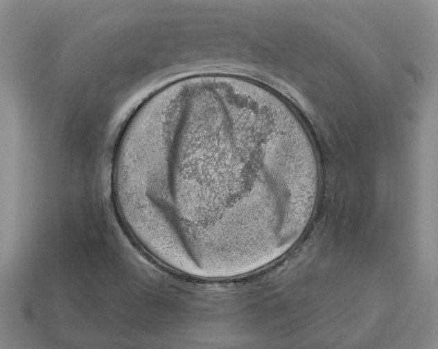 X0000113001504200909241250