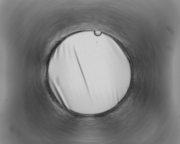 X0000113001507200909241250