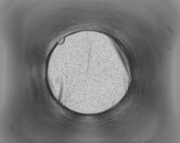 X0000113001508200909241250