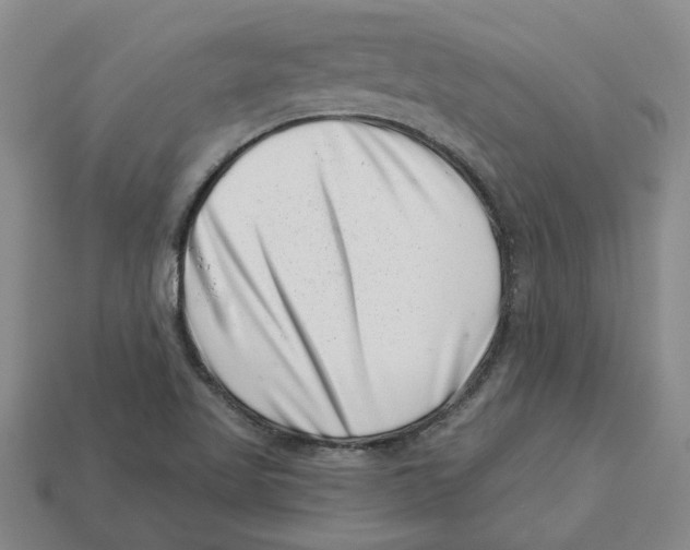 X0000113001509200909241250