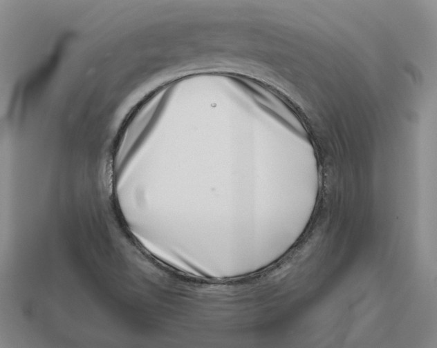 X0000113001510200909241250