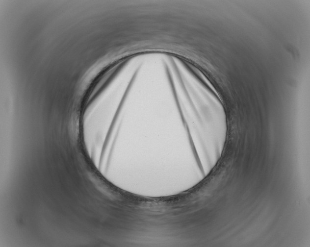 X0000113001511200909241250