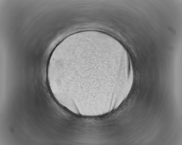 X0000113001512200909241250