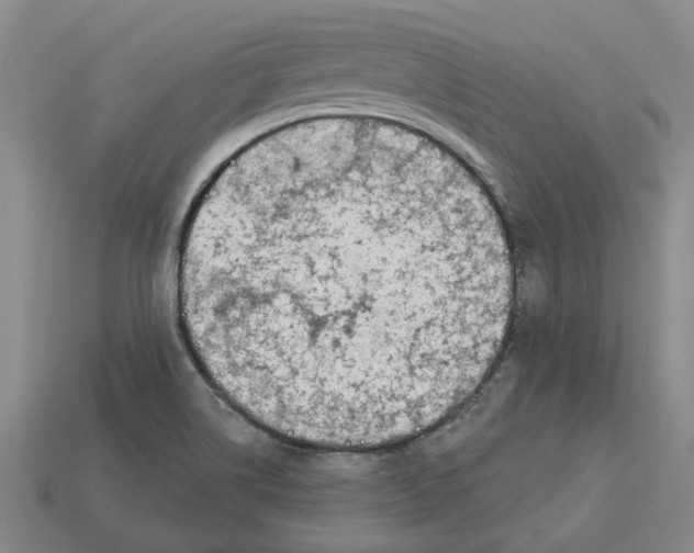 X0000113001514200909241250