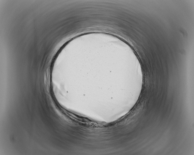 X0000113001515200909241250