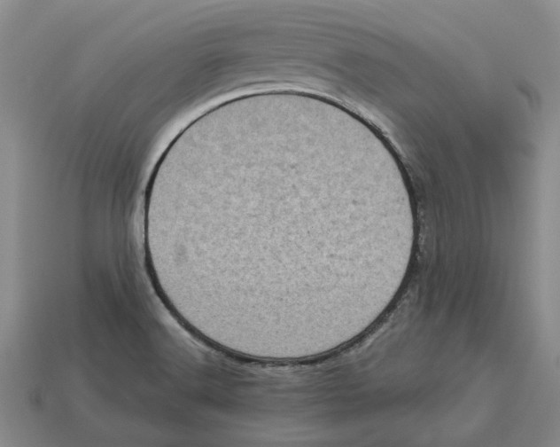 X0000113001516200909241250