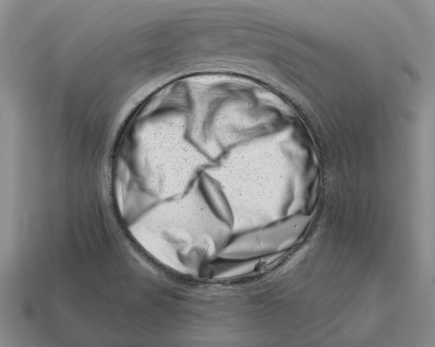 X0000113001517200909241250