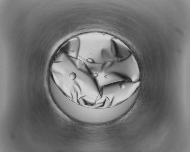 X0000113001518200909241250