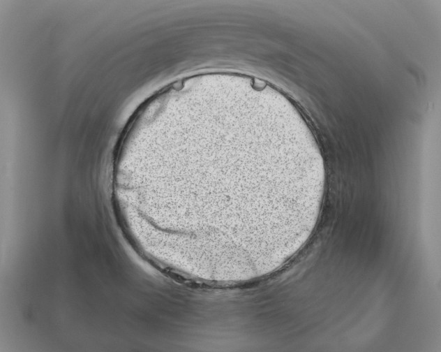 X0000113001519200909241250