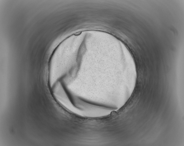 X0000113001520200909241250