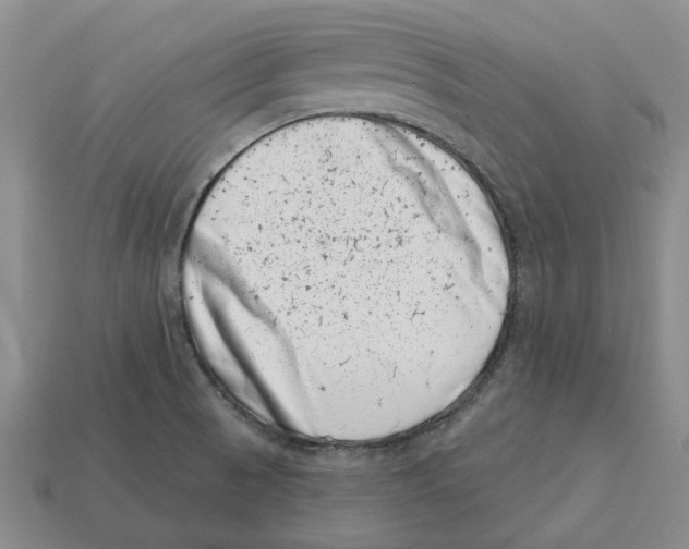 X0000113001521200909241250