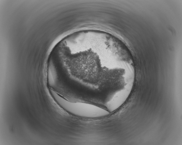 X0000113001522200909241250