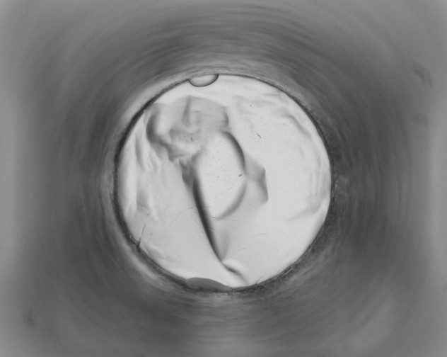 X0000113001523200909241250