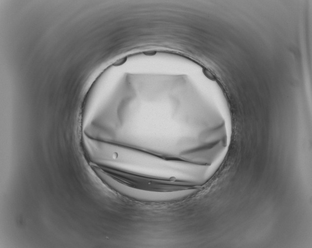 X0000113001524200909241250