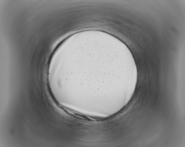 X0000113001526200909241250