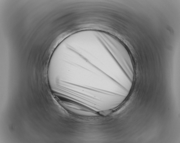 X0000113001529200909241250