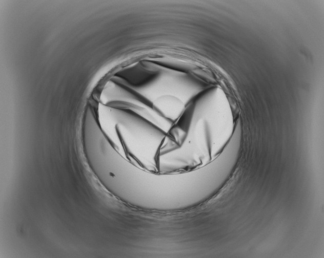 X0000113001530200909241250