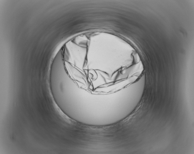 X0000113001532200909241251