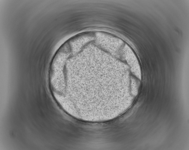 X0000113001533200909241251