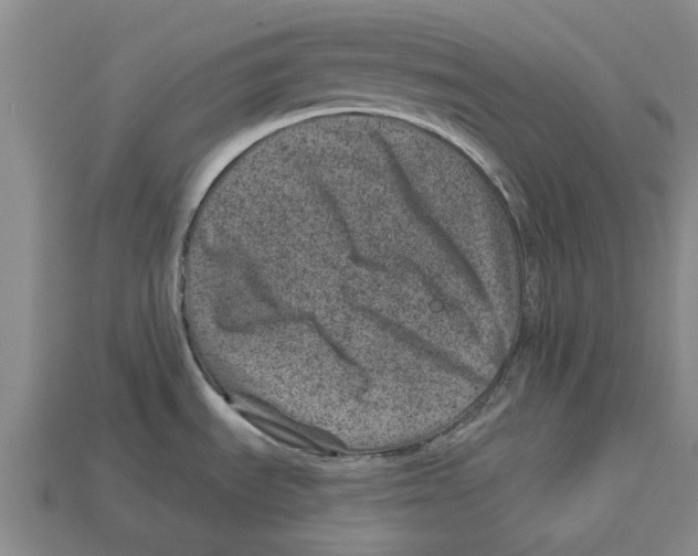 X0000113001535200909241251