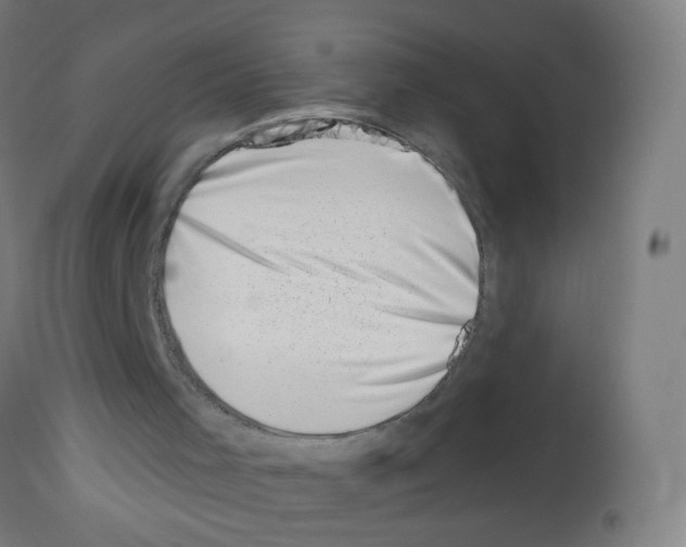 X0000113000001200910081210