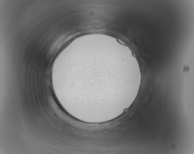 X0000113000002200910081210
