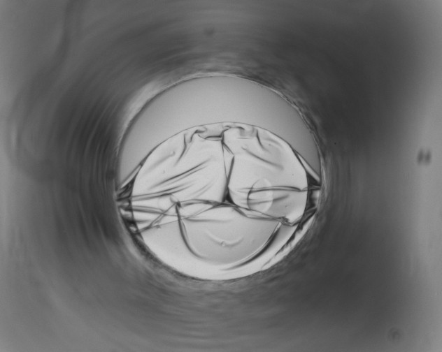 X0000113000003200910081210