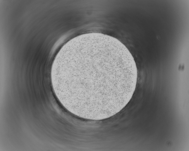 X0000113000004200910081210