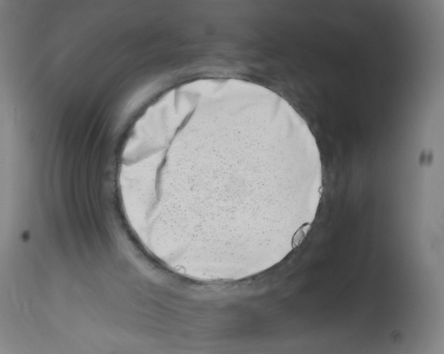 X0000113000005200910081210