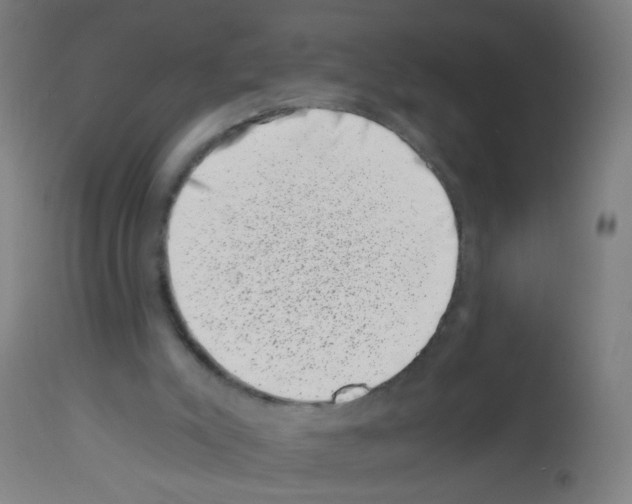X0000113000007200910081210