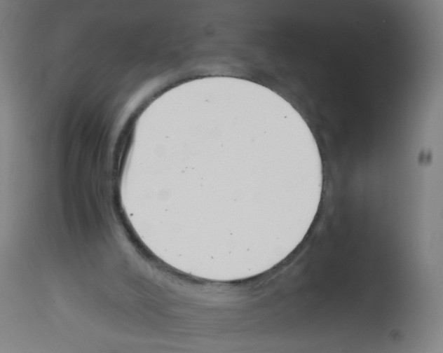 X0000113000008200910081210