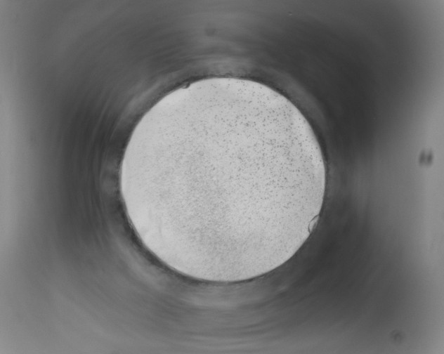 X0000113000009200910081209