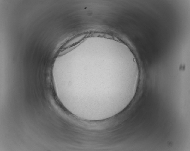 X0000113000010200910081209