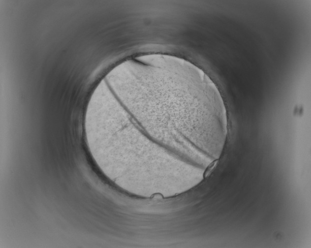 X0000113000011200910081209