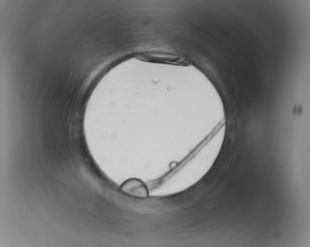 X0000113000012200910081209