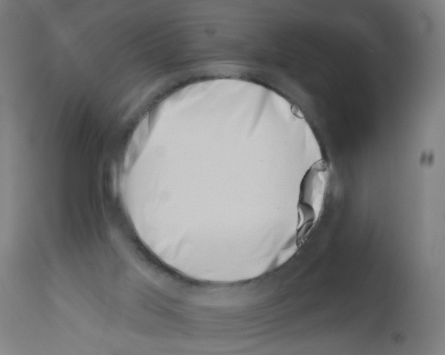 X0000113000013200910081209