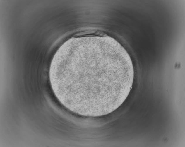 X0000113000016200910081209