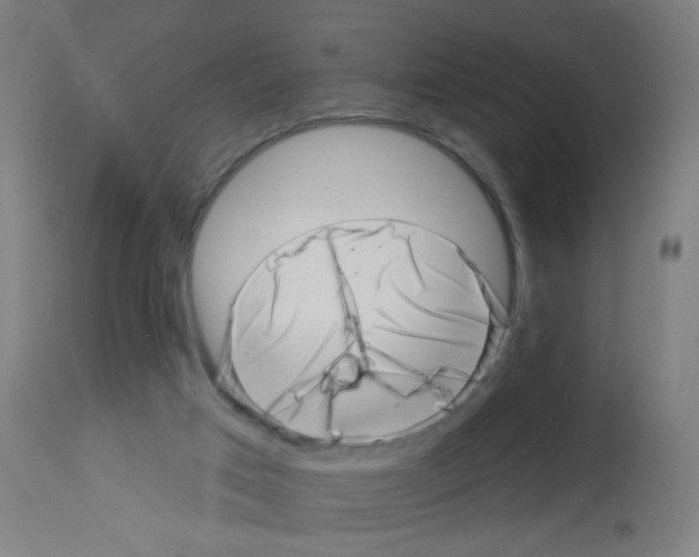 X0000113000017200910081209