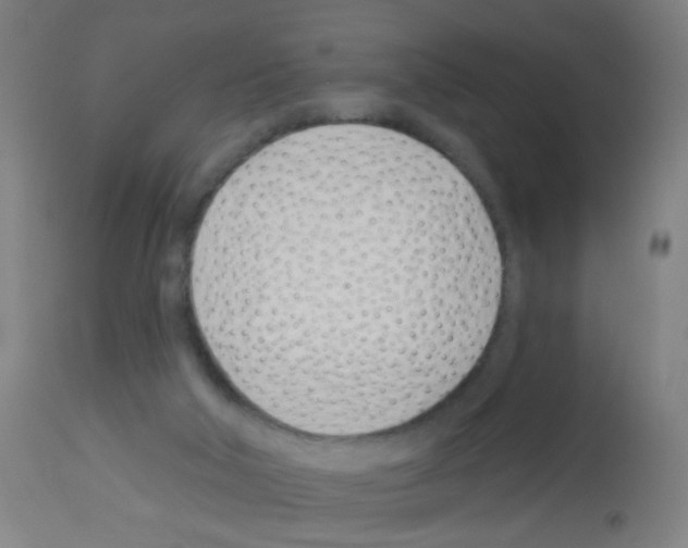 X0000113000018200910081209