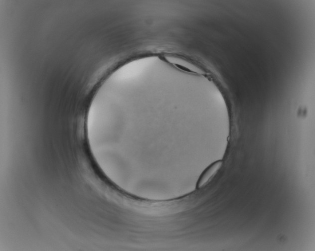 X0000113000019200910081209