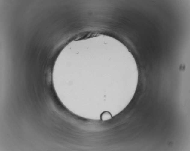 X0000113000020200910081209