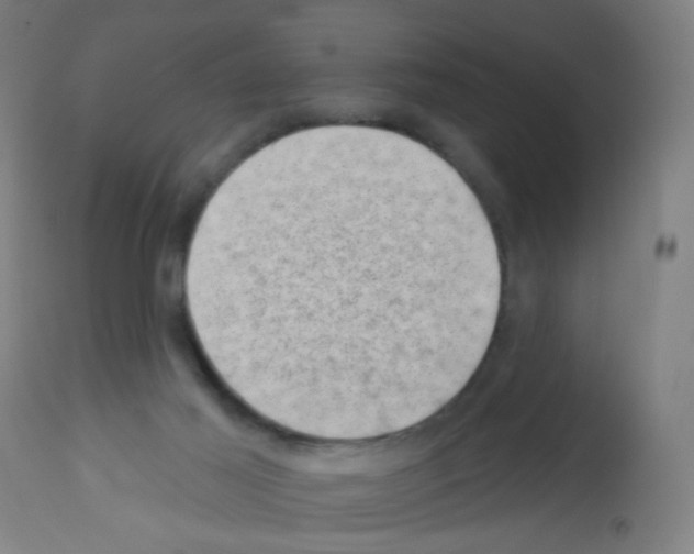 X0000113000021200910081209