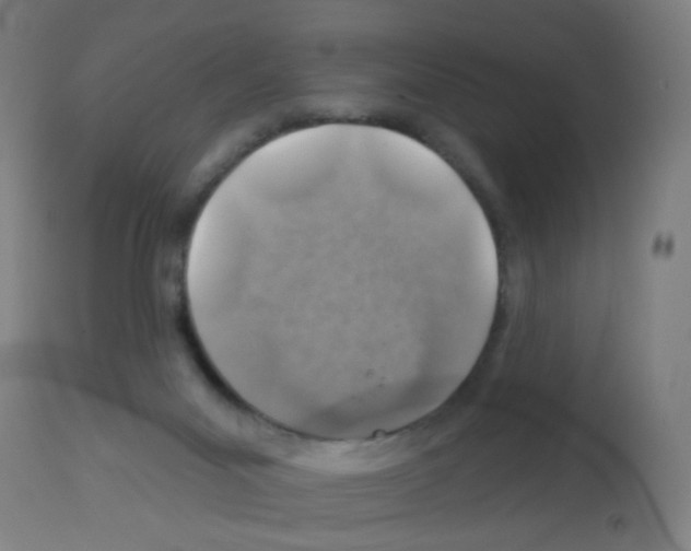 X0000113000023200910081209