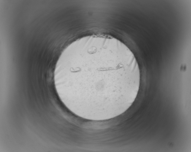 X0000113000025200910081209