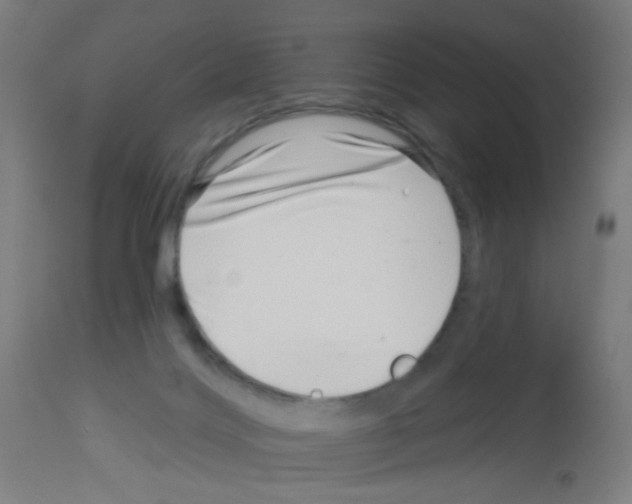 X0000113000028200910081209