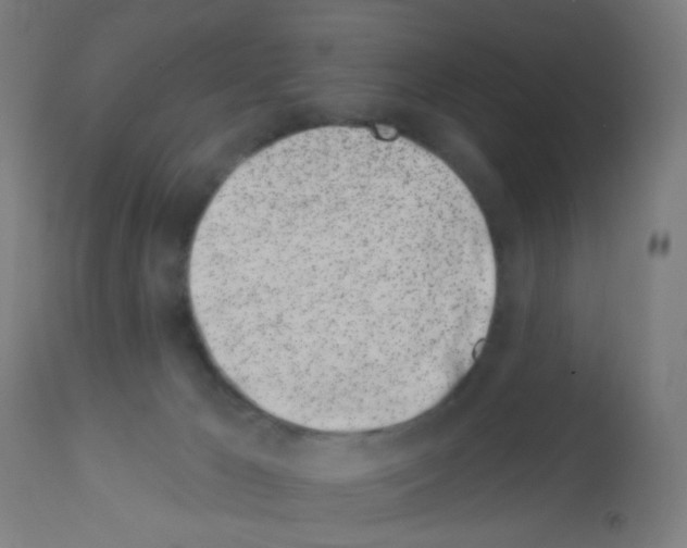 X0000113000029200910081209