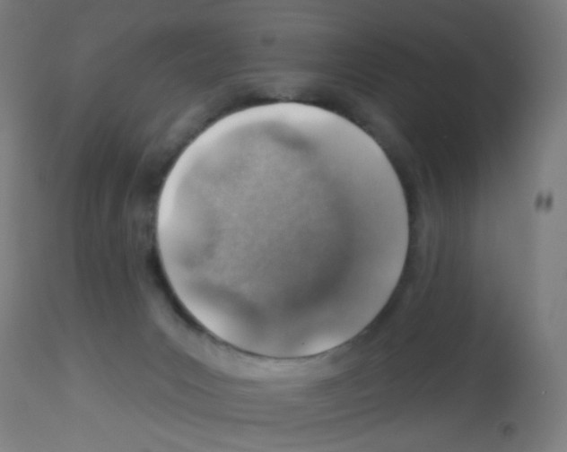 X0000113000031200910081209