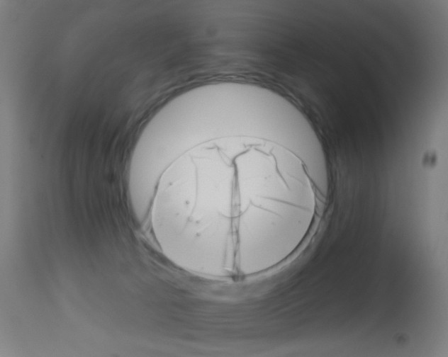X0000113000033200910081209